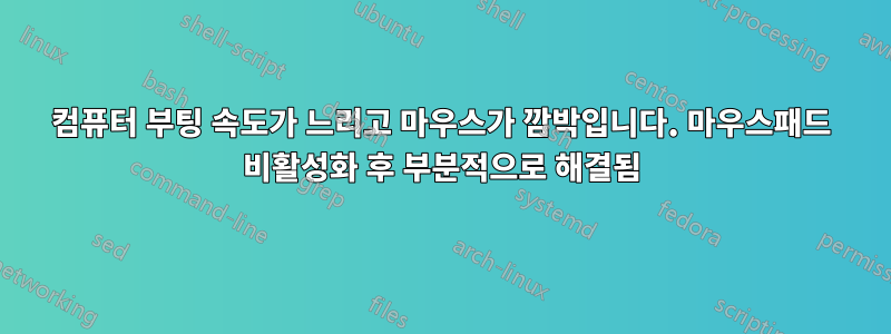 컴퓨터 부팅 속도가 느리고 마우스가 깜박입니다. 마우스패드 비활성화 후 부분적으로 해결됨