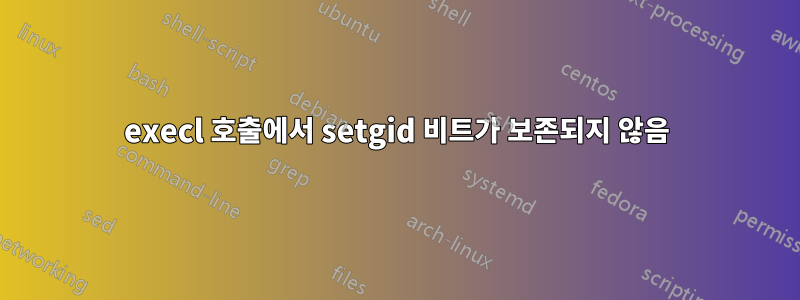 execl 호출에서 setgid 비트가 보존되지 않음