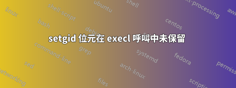 setgid 位元在 execl 呼叫中未保留