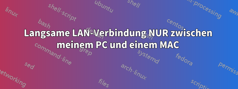 Langsame LAN-Verbindung NUR zwischen meinem PC und einem MAC