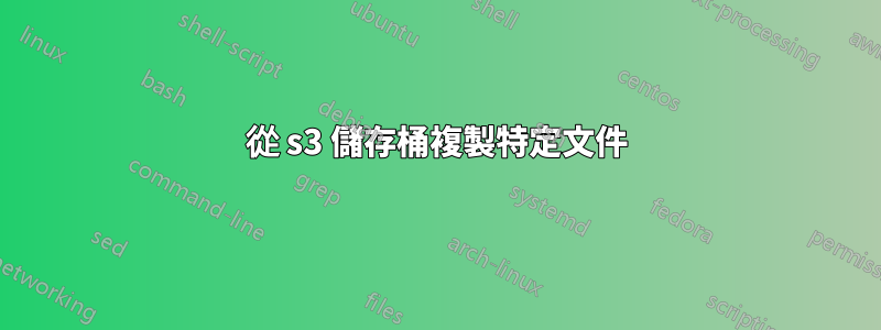 從 s3 儲存桶複製特定文件