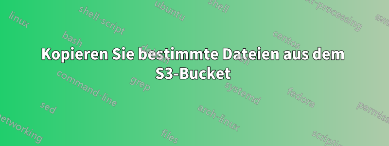 Kopieren Sie bestimmte Dateien aus dem S3-Bucket