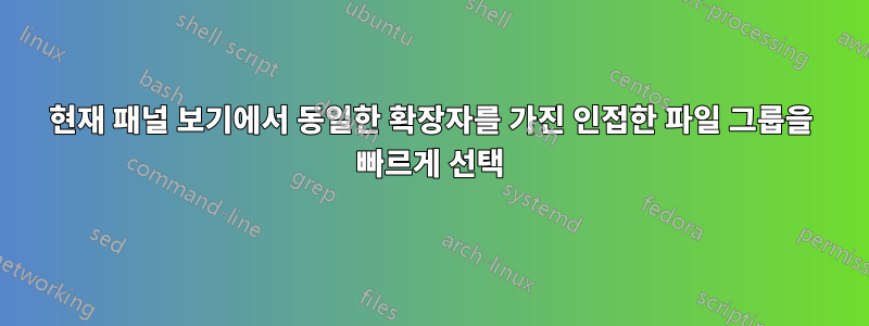 현재 패널 보기에서 동일한 확장자를 가진 인접한 파일 그룹을 빠르게 선택