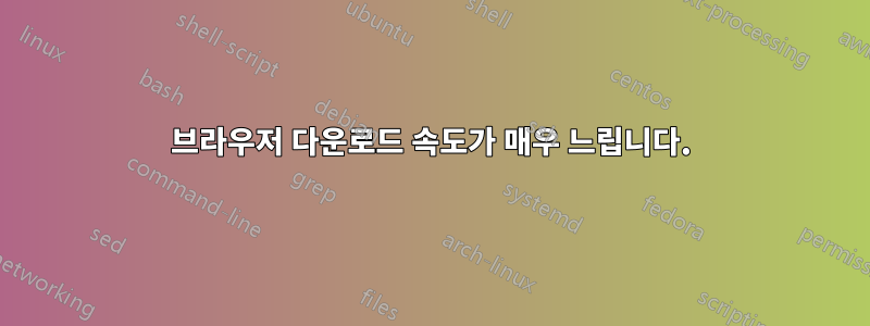 브라우저 다운로드 속도가 매우 느립니다.