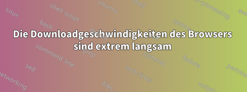 Die Downloadgeschwindigkeiten des Browsers sind extrem langsam