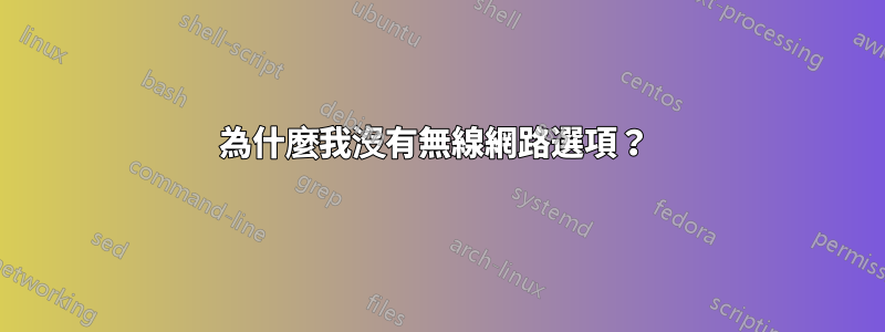 為什麼我沒有無線網路選項？ 