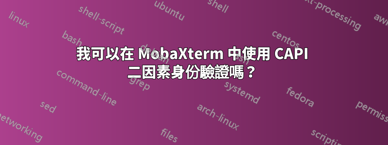 我可以在 MobaXterm 中使用 CAPI 二因素身份驗證嗎？