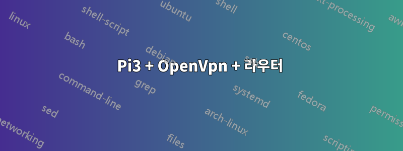 Pi3 + OpenVpn + 라우터