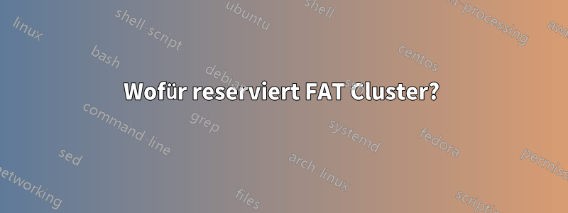 Wofür reserviert FAT Cluster?