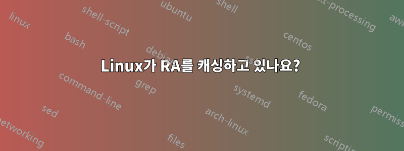 Linux가 RA를 캐싱하고 있나요?