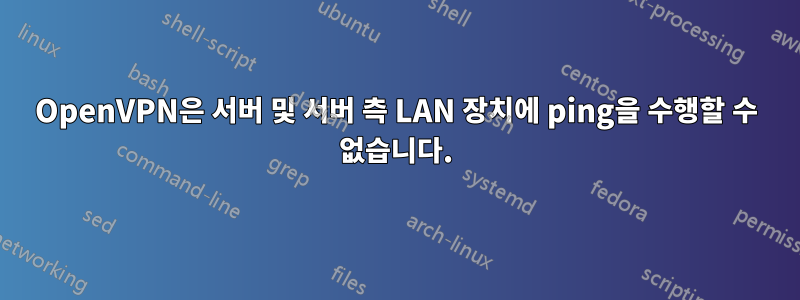 OpenVPN은 서버 및 서버 측 LAN 장치에 ping을 수행할 수 없습니다.