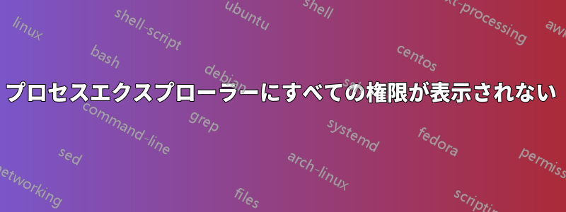 プロセスエクスプローラーにすべての権限が表示されない