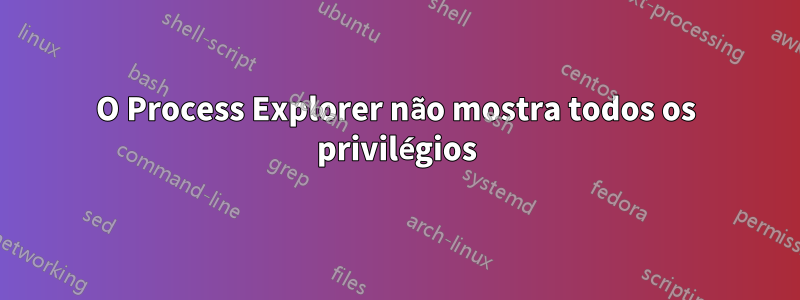 O Process Explorer não mostra todos os privilégios