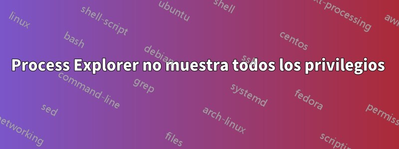 Process Explorer no muestra todos los privilegios