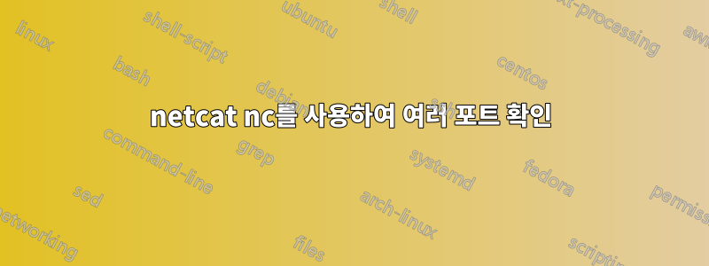 netcat nc를 사용하여 여러 포트 확인