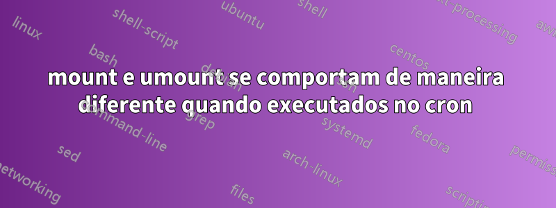 mount e umount se comportam de maneira diferente quando executados no cron