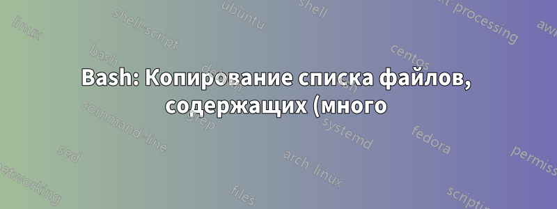 Bash: Копирование списка файлов, содержащих (много) специальных символов