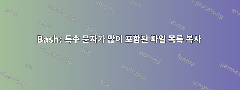 Bash: 특수 문자가 많이 포함된 파일 목록 복사