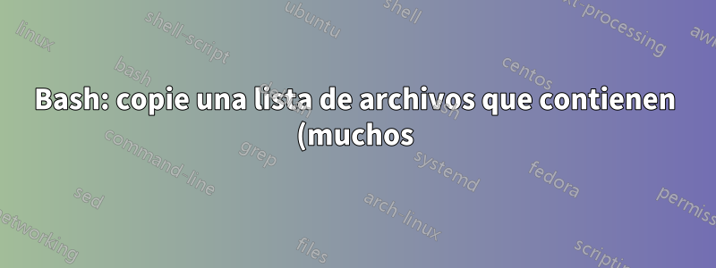 Bash: copie una lista de archivos que contienen (muchos) caracteres especiales