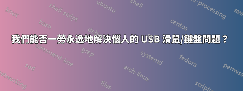 我們能否一勞永逸地解決惱人的 USB 滑鼠/鍵盤問題？