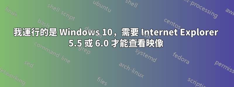 我運行的是 Windows 10，需要 Internet Explorer 5.5 或 6.0 才能查看映像