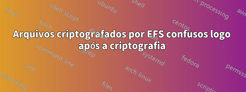 Arquivos criptografados por EFS confusos logo após a criptografia