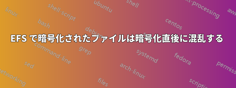 EFS で暗号化されたファイルは暗号化直後に混乱する