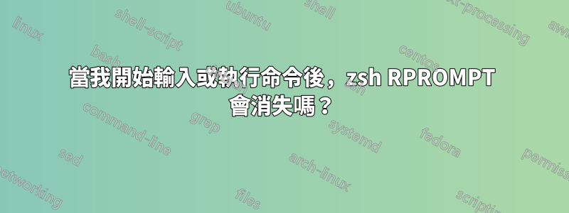 當我開始輸入或執行命令後，zsh RPROMPT 會消失嗎？