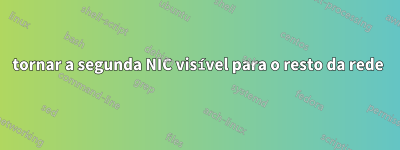 tornar a segunda NIC visível para o resto da rede