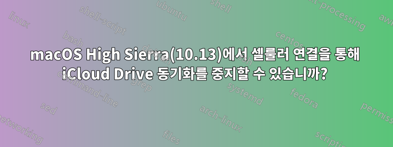 macOS High Sierra(10.13)에서 셀룰러 연결을 통해 iCloud Drive 동기화를 중지할 수 있습니까?