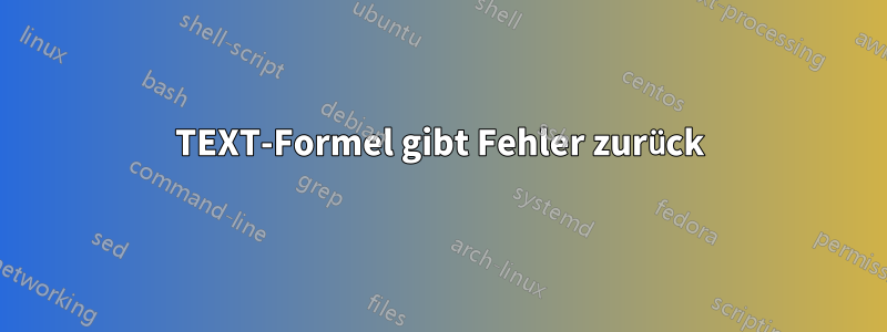 TEXT-Formel gibt Fehler zurück