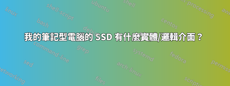 我的筆記型電腦的 SSD 有什麼實體/邏輯介面？