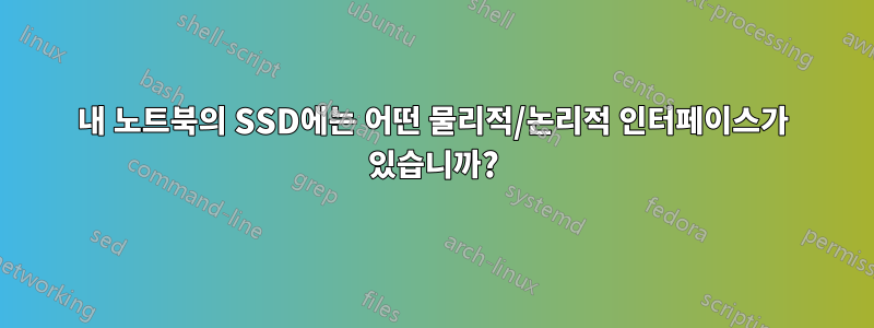 내 노트북의 SSD에는 어떤 물리적/논리적 인터페이스가 있습니까?