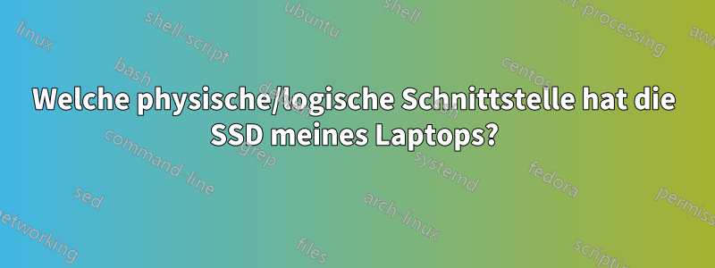 Welche physische/logische Schnittstelle hat die SSD meines Laptops?