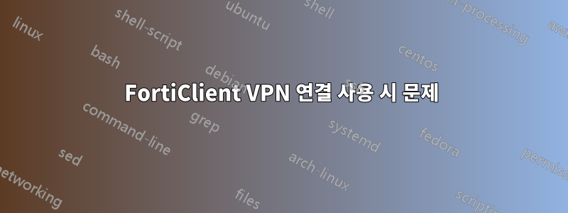 FortiClient VPN 연결 사용 시 문제