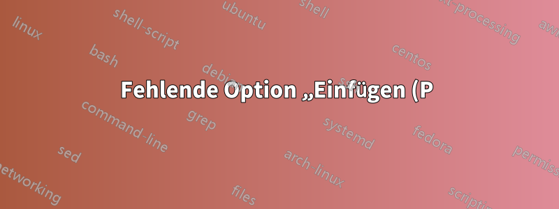 Fehlende Option „Einfügen (P)“ in Excel 2016