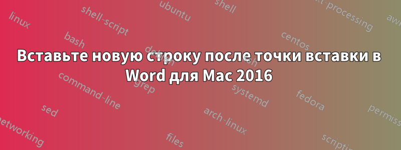 Вставьте новую строку после точки вставки в Word для Mac 2016