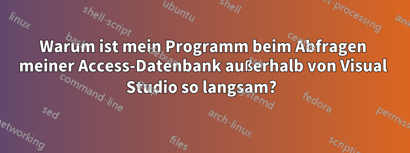 Warum ist mein Programm beim Abfragen meiner Access-Datenbank außerhalb von Visual Studio so langsam? 