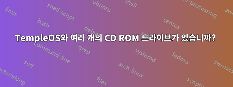 TempleOS와 여러 개의 CD ROM 드라이브가 있습니까?