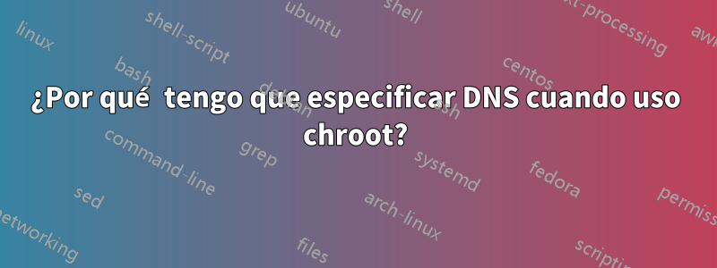 ¿Por qué tengo que especificar DNS cuando uso chroot?