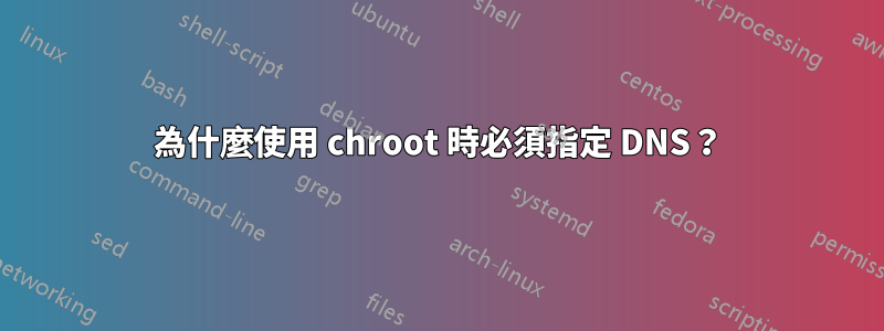 為什麼使用 chroot 時必須指定 DNS？