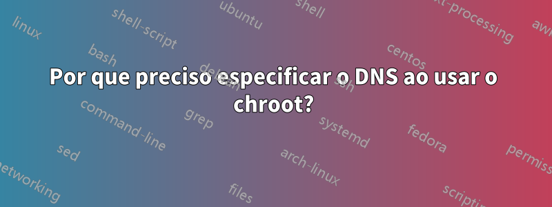 Por que preciso especificar o DNS ao usar o chroot?