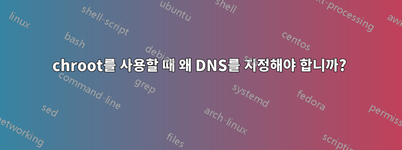 chroot를 사용할 때 왜 DNS를 지정해야 합니까?