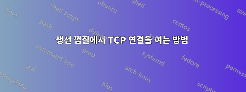 생선 껍질에서 TCP 연결을 여는 방법