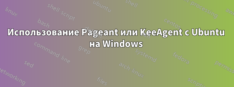 Использование Pageant или KeeAgent с Ubuntu на Windows