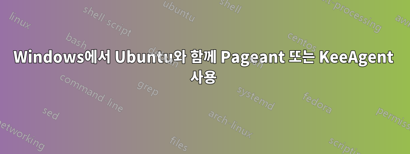 Windows에서 Ubuntu와 함께 Pageant 또는 KeeAgent 사용