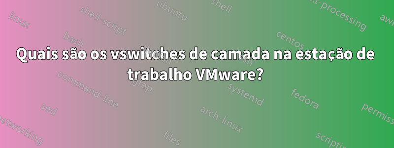 Quais são os vswitches de camada na estação de trabalho VMware?