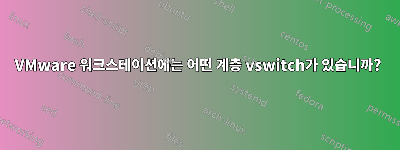 VMware 워크스테이션에는 어떤 계층 vswitch가 있습니까?