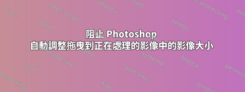 阻止 Photoshop 自動調整拖曳到正在處理的影像中的影像大小