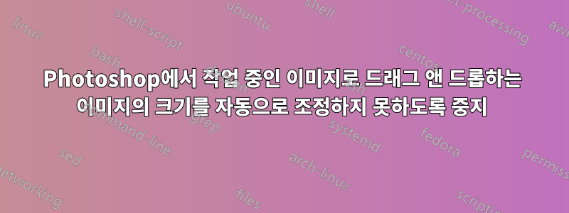Photoshop에서 작업 중인 이미지로 드래그 앤 드롭하는 이미지의 크기를 자동으로 조정하지 못하도록 중지